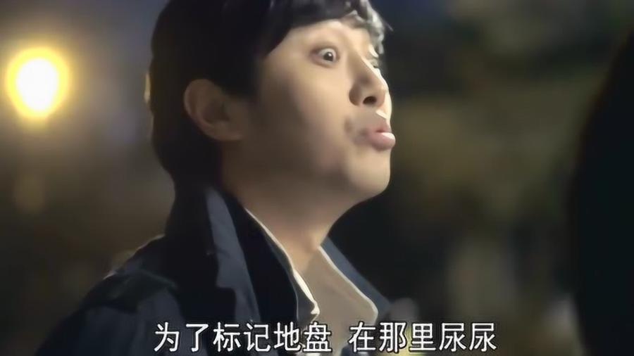 haha体育平台在线
